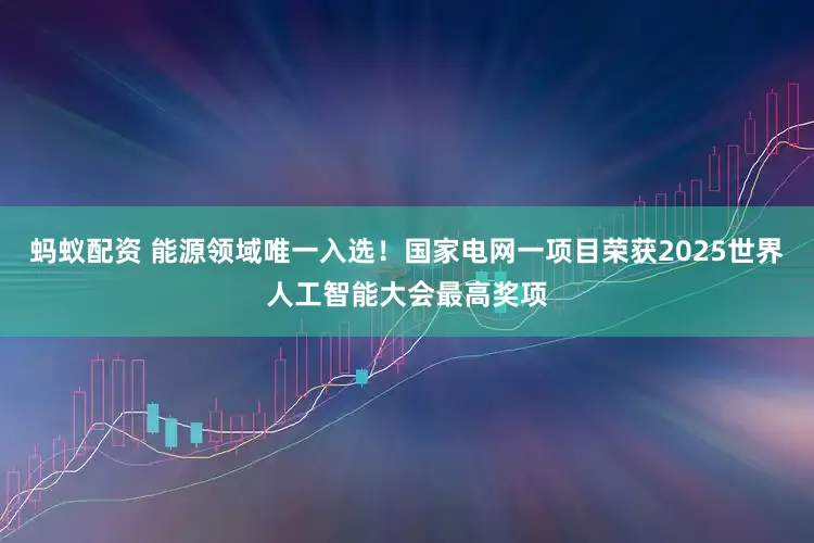 蚂蚁配资 能源领域唯一入选！国家电网一项目荣获2025世界人工智能大会最高奖项