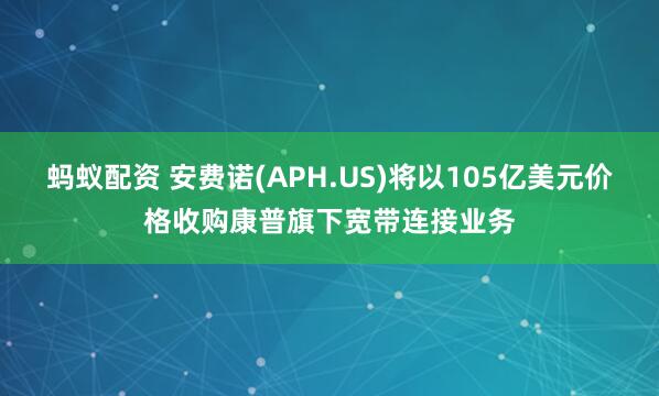 蚂蚁配资 安费诺(APH.US)将以105亿美元价格收购康普旗下宽带连接业务